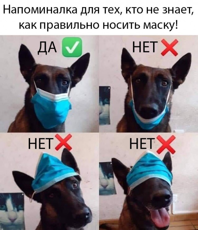 Спутник V: вакцинация с летальным исходом?