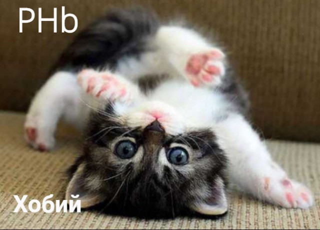 Периодическая система кото-элементов