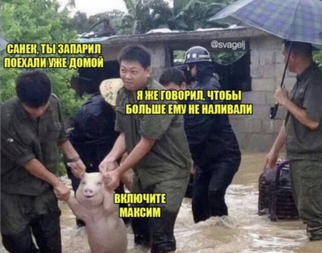 Юмор в картинках 12.10.20
