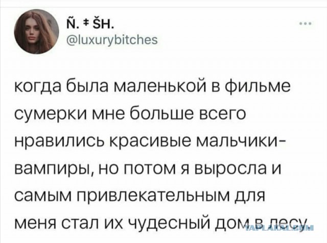 Немного картинок для настроения 06.11.20