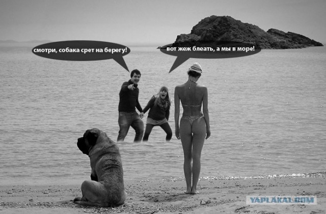 Фотожаба: Смотри, ояе#у!