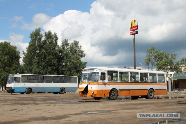 Эстетика е*еней