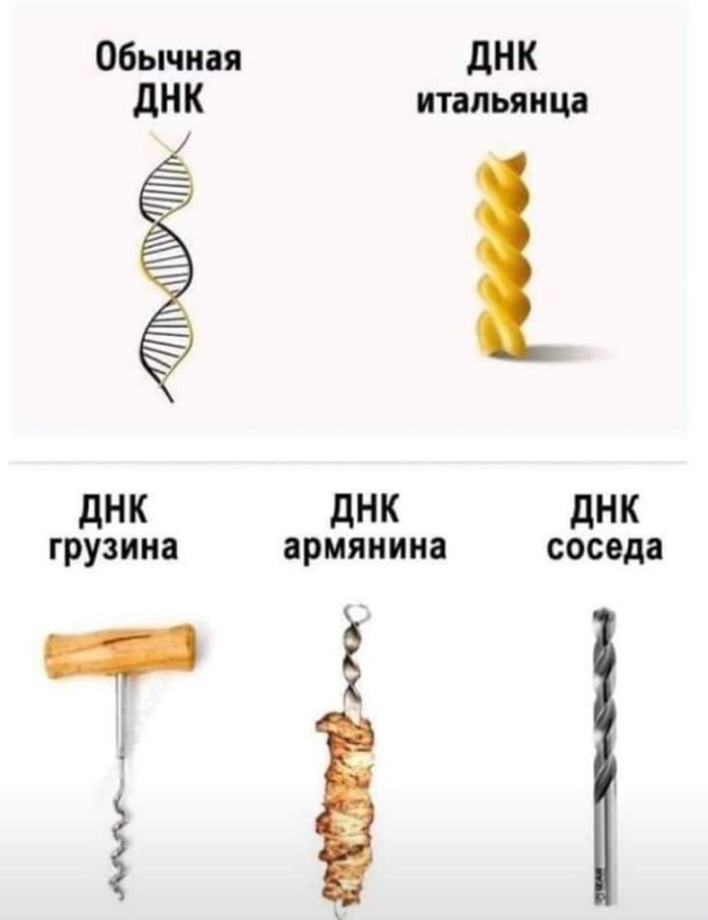 Веселые картинки отовсюду 23.02.21