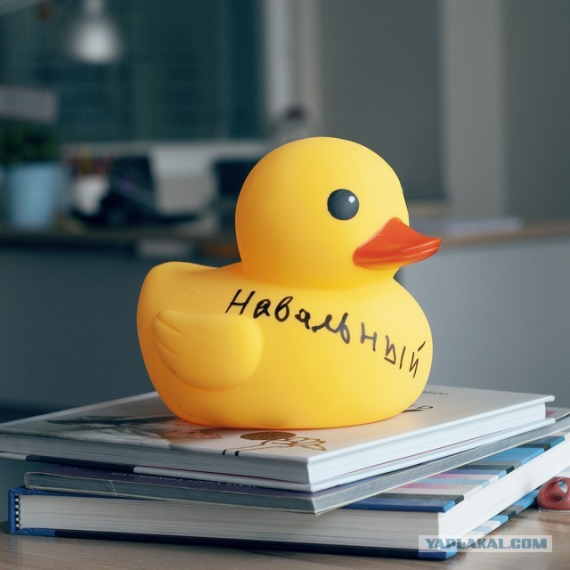 Я не Новальный, но вот вам моё расследование