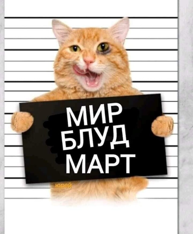 Картинки и мемы для настроения 011