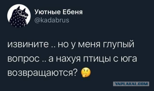 Картинки и мемы для настроения 28.04.2021