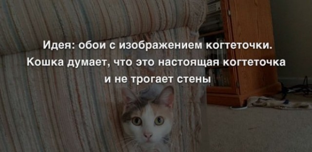 Весёлый полтишок 21.06.2021