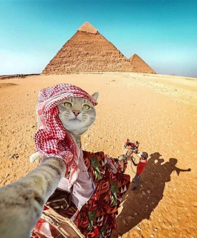 Настоящий Интернет