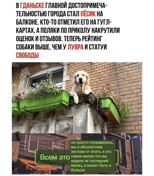 Картинки и мемы для настроения 08.09.2021