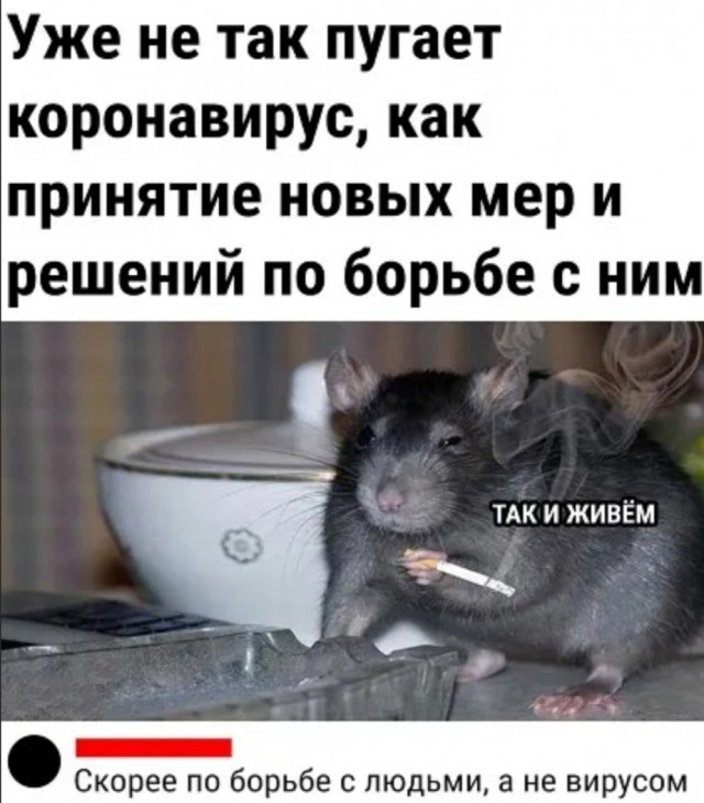 Бредзона 21.11.2021