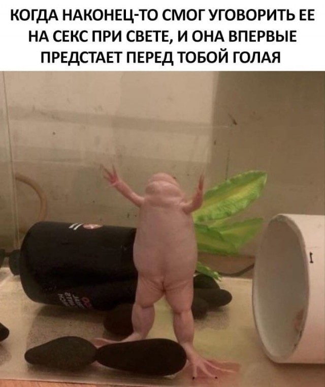 Картинки всякие и аморальные - 15