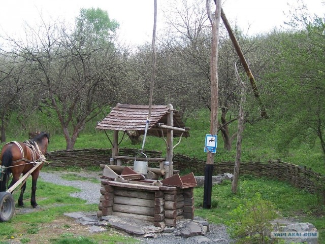 Зеленый (сельский) туризм в Моринцах (Украина)