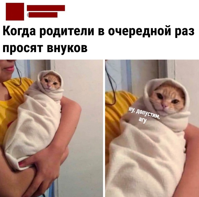 Так себе картинки 01.04.22