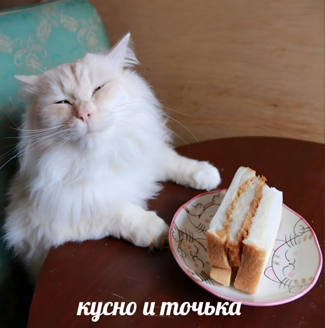⚡️Yum! Brands (бренды KFC и Pizza Hut) полностью покинет РФ
