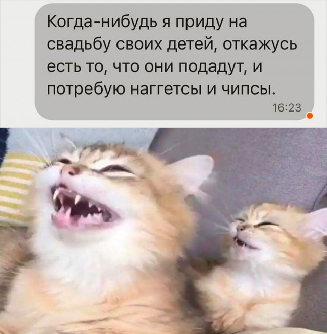 Так себе картинки 17.09.22