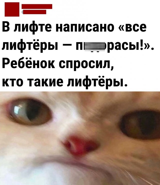 Так себе картинки 25.10.22