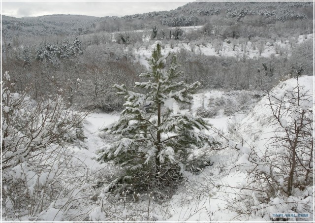 Крым. Терновка. Зимние дороги.