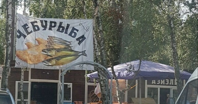 Перлы - 24.12.22
