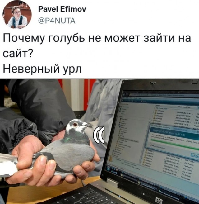 Немного картинок для настроения - 127