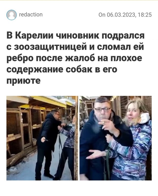 В Астрахани девочку чуть не загрызла стая собак: ее спасли проезжающие люди на автомобиле