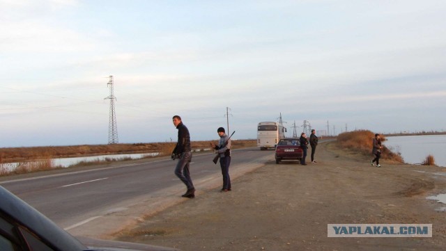 Крым в феврале или "Не стреляйте в белых лебедей!"