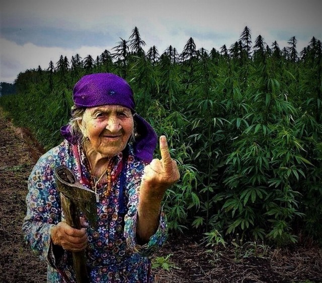 Развелась из-за запаха