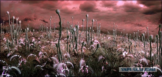 Литературный конкурс Пятак