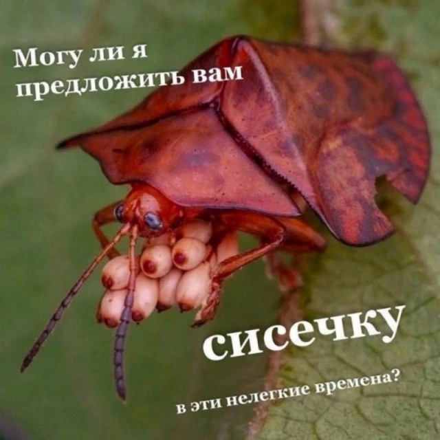 Хочешь узнать, как женщина занимается сексом? Посмотри на то, как она ест