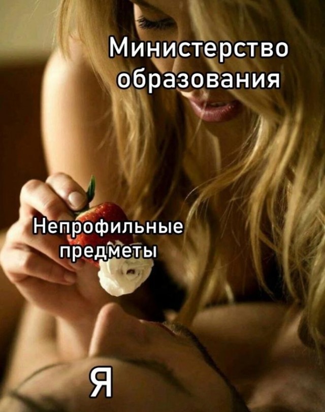 Весёлый полтишок 12.11.23