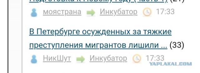В Петербурге осужденных за тяжкие преступления мигрантов лишили гражданства.