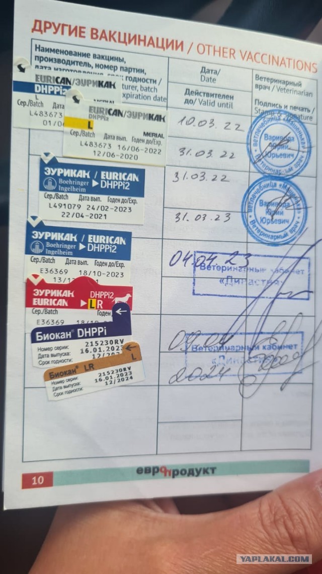 Первые убытки и расходы
