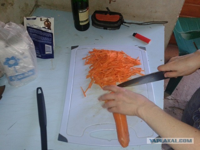 Пловские старания, ... эпическое полотно о Плове...