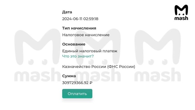 Долг Нурмагомедова перед ФНС увеличился до 309,7 млн