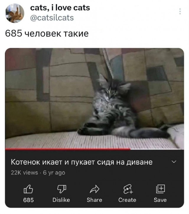 Нуштош 13.06.2024