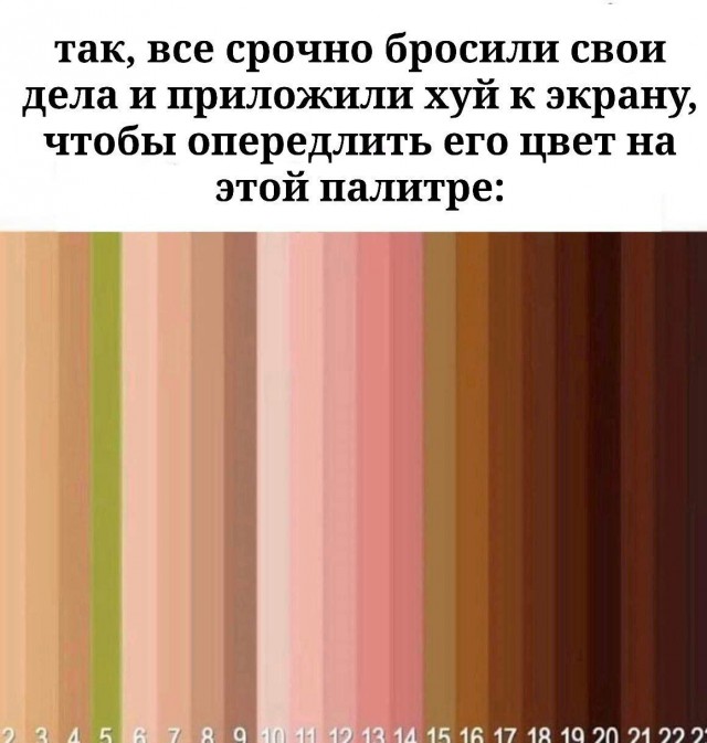 Всего понемногу. От 21.06.2024