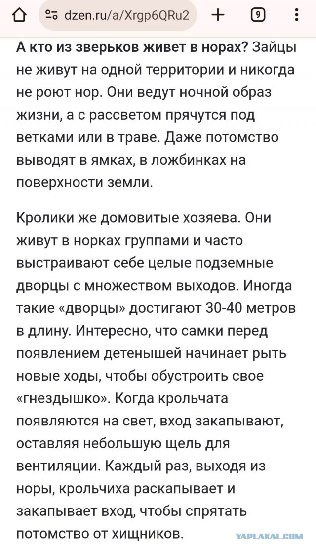 Первый раз такое вижу