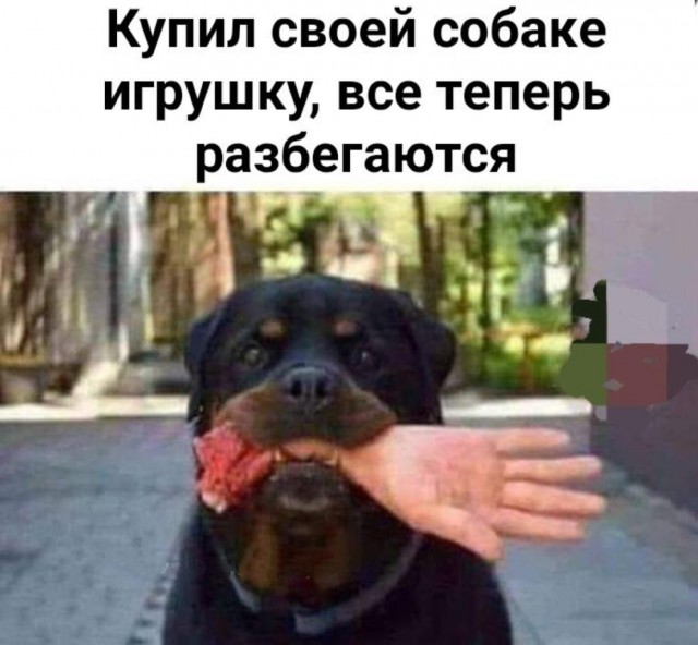20 забавных  картинок