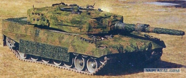Танки семейства кошачьих.