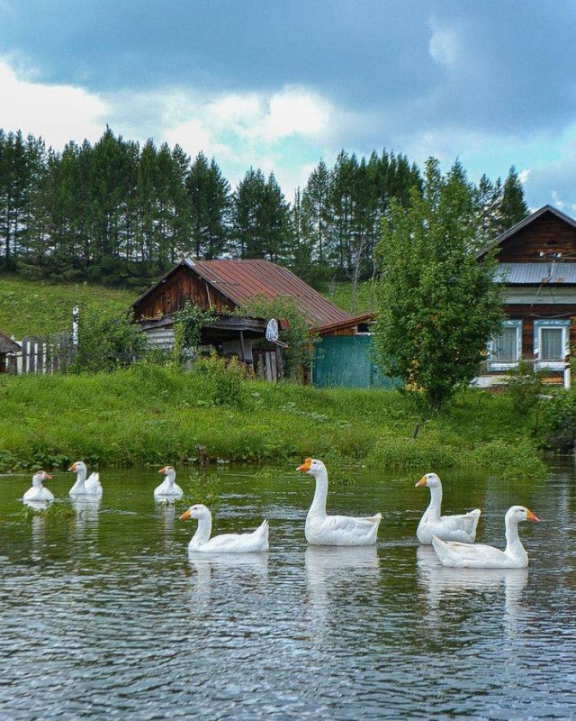 Скоро кончится лето. Это…