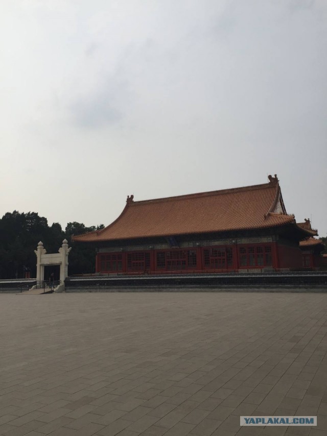 Китай. Пекин-Бэйдайхэ 20024 China.  Beijing-Beidaihe 20024 中国。北京北戴河 20024
