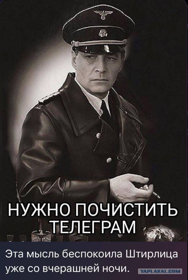 Весёлый полтишок 27.09.24