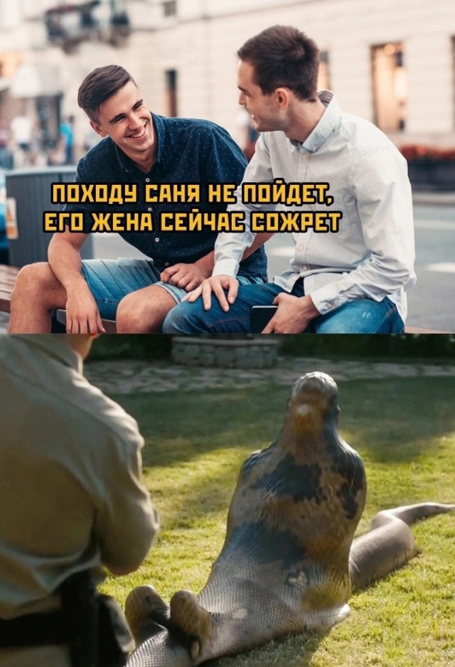 Так себе картинки 22.10.24