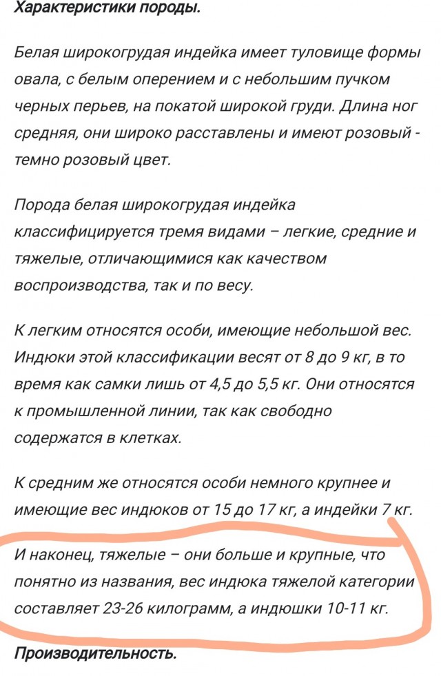 Веселая ферма: утята под зиму и все-все-все