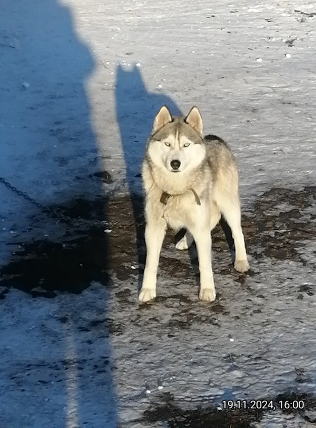 Что же тут произошло, и кто виноват?