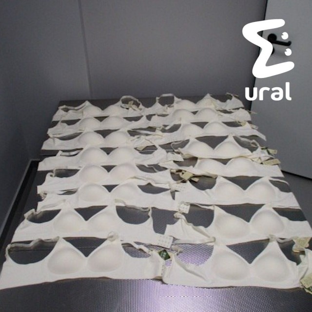 18 кило женского нижнего белья попытался вывезти мужик рейсом из Екатеринбурга в Душанбе.