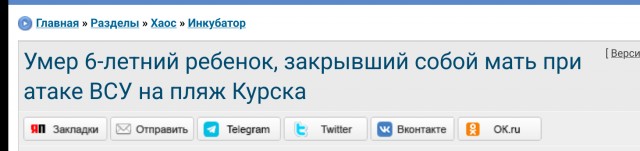 Умер 5-летний ребенок, закрывший собой мать при атаке ВСУ на пляж Курска