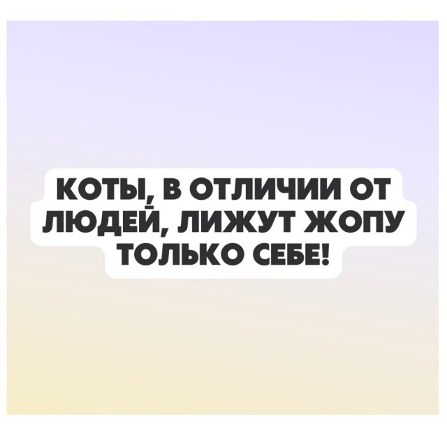 Так себе картинки 06.09.25