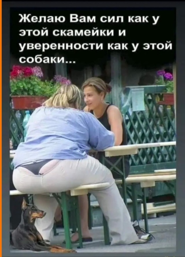 Прикольные и просто красивые картинки 17.10.2025