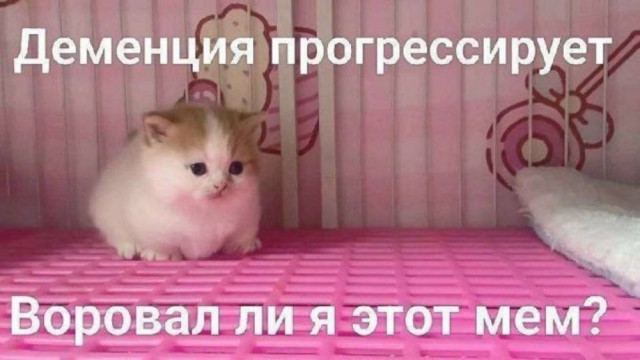Небаянистая деградация 5