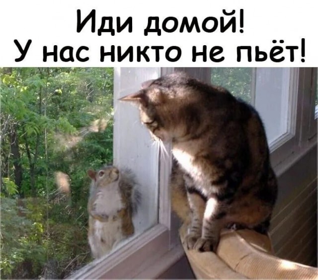 Прикольные и просто красивые картинки 18.11.2025